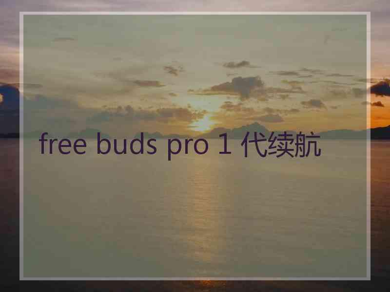 free buds pro 1 代续航