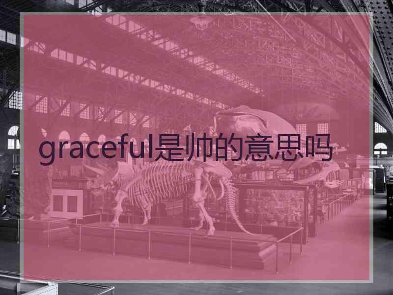 graceful是帅的意思吗