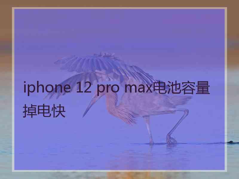 iphone 12 pro max电池容量掉电快