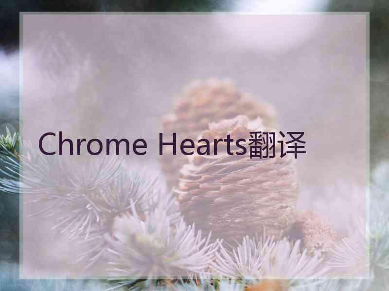 Chrome Hearts翻译