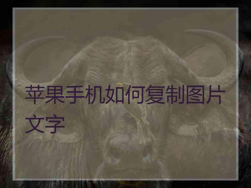 苹果手机如何复制图片文字