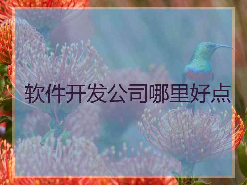 软件开发公司哪里好点