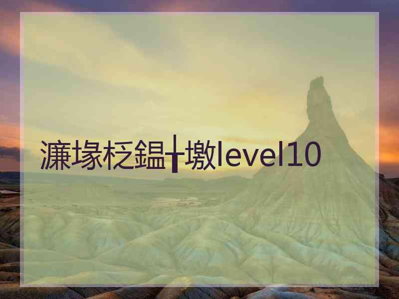 濂堟柉鎾╁墽level10