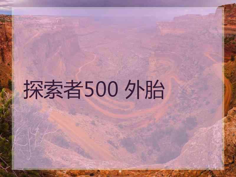 探索者500 外胎