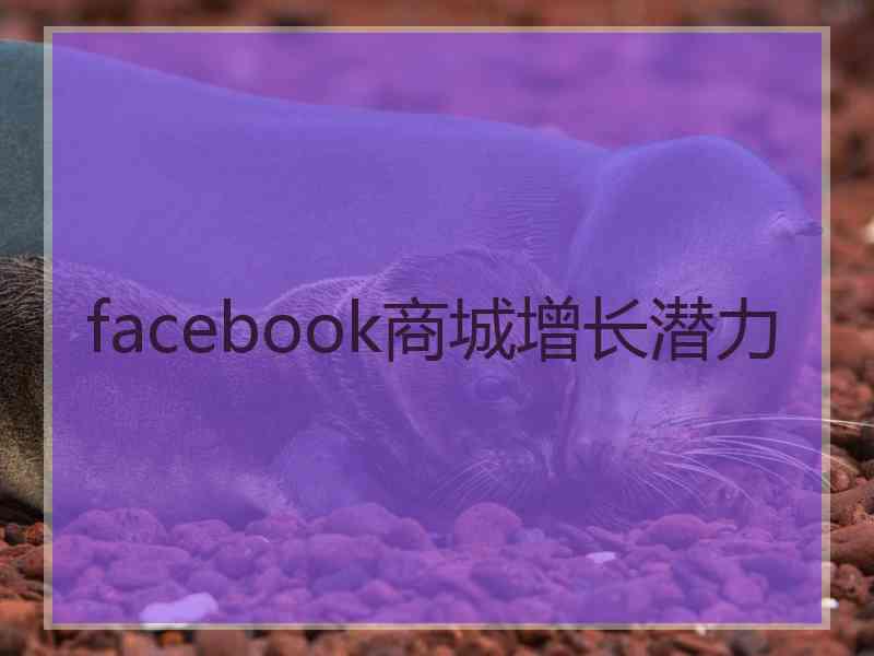 facebook商城增长潜力