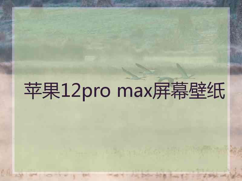 苹果12pro max屏幕壁纸