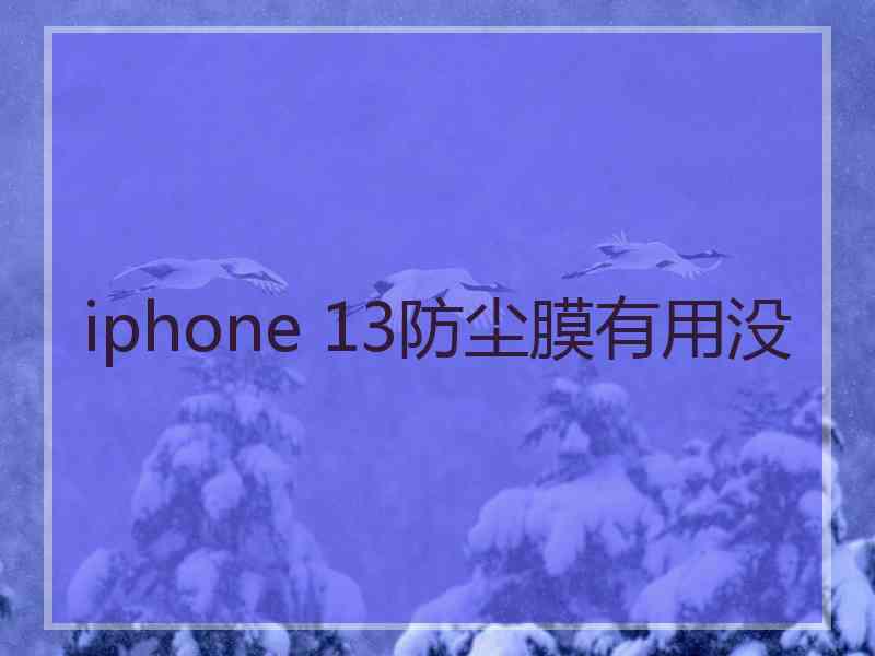 iphone 13防尘膜有用没