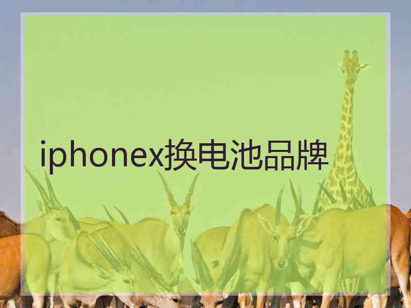 iphonex换电池品牌