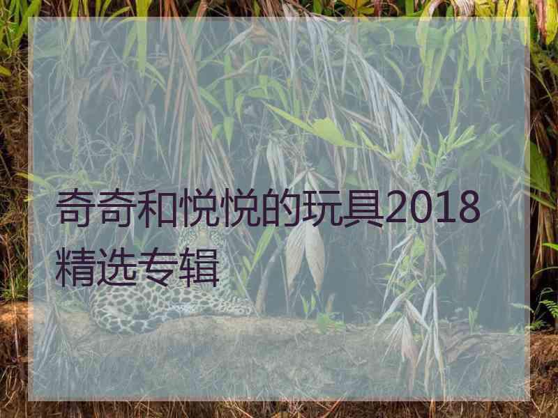 奇奇和悦悦的玩具2018精选专辑