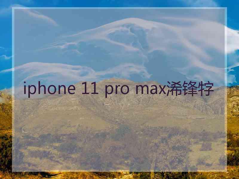 iphone 11 pro max浠锋牸