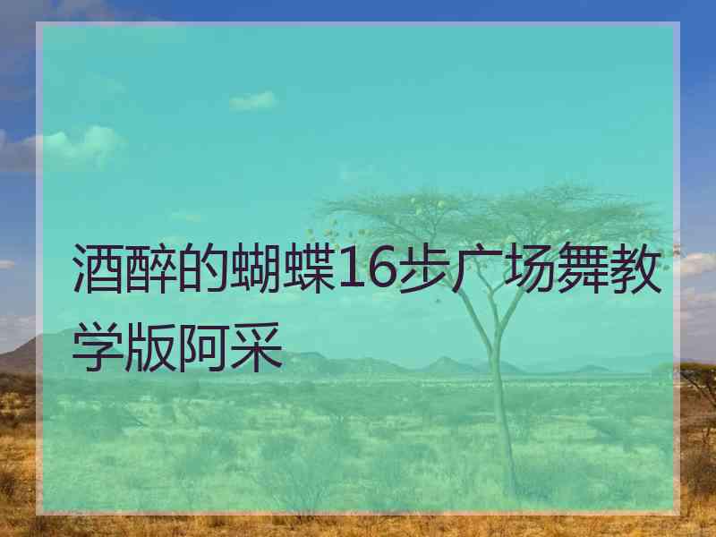 酒醉的蝴蝶16步广场舞教学版阿采