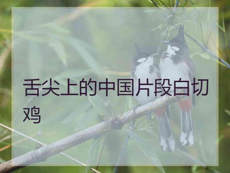 舌尖上的中国片段白切鸡