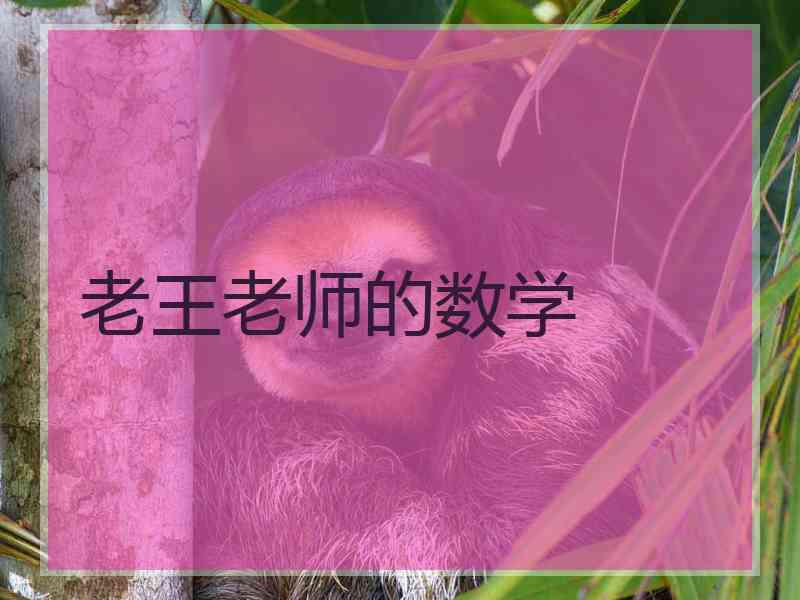 老王老师的数学