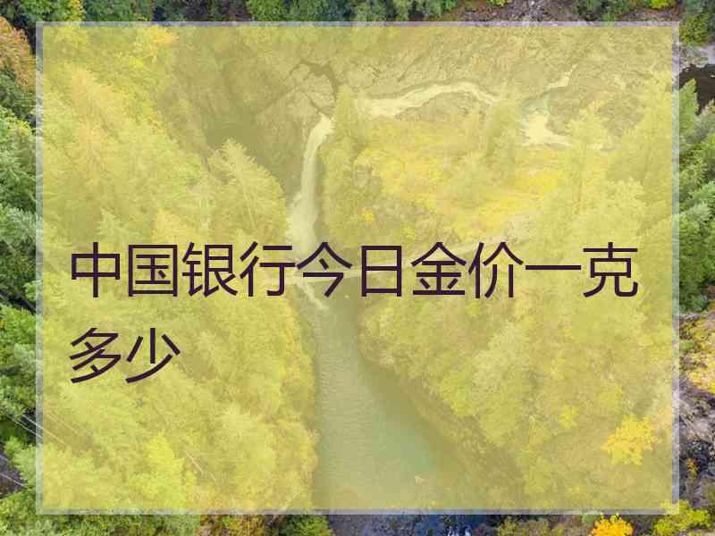 中国银行今日金价一克多少