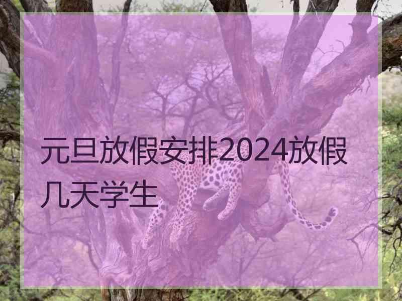 元旦放假安排2024放假几天学生