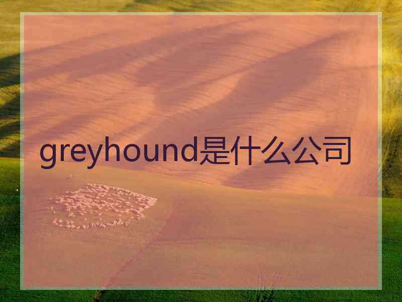 greyhound是什么公司