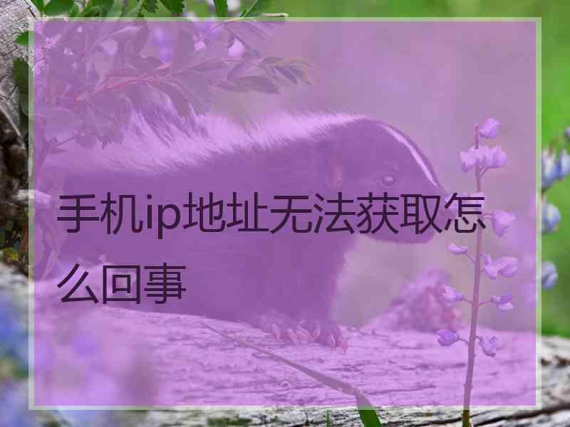 手机ip地址无法获取怎么回事