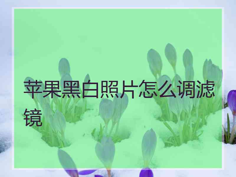 苹果黑白照片怎么调滤镜