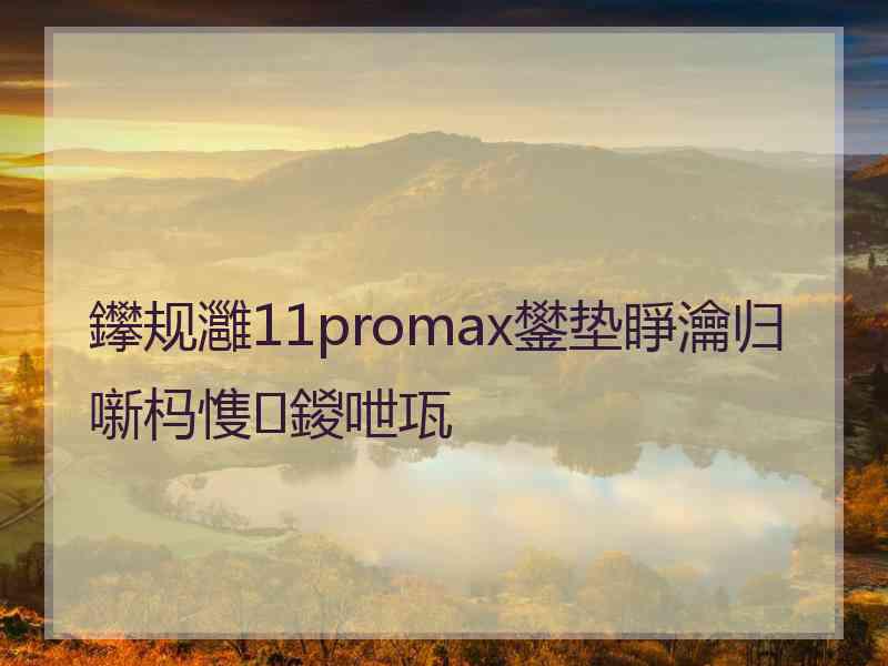 鑻规灉11promax鐢垫睜瀹归噺杩愯鍐呭瓨