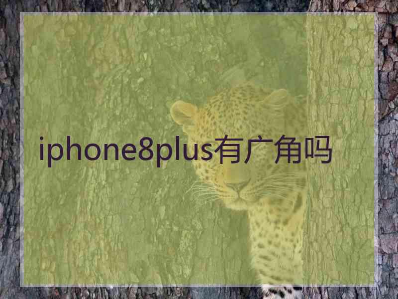 iphone8plus有广角吗