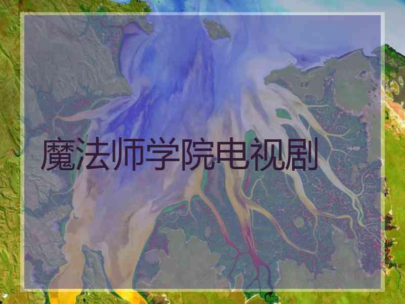 魔法师学院电视剧