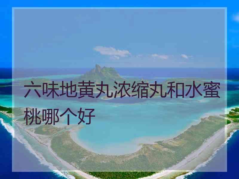 六味地黄丸浓缩丸和水蜜桃哪个好