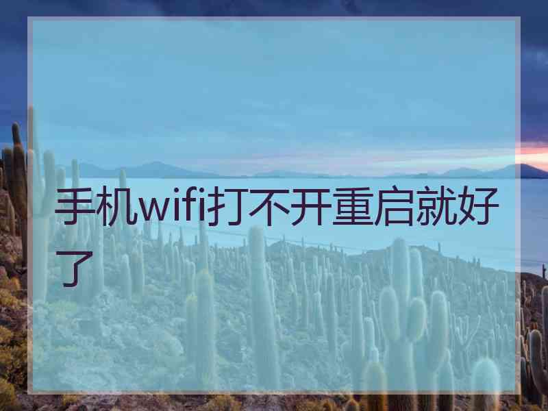 手机wifi打不开重启就好了