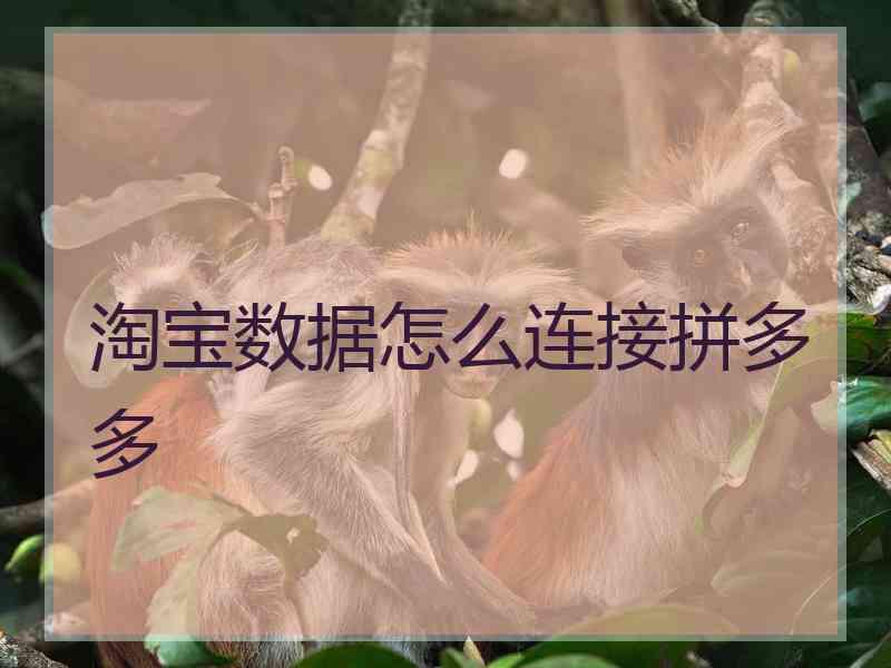 淘宝数据怎么连接拼多多