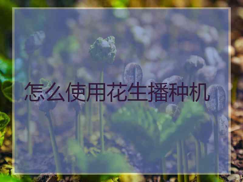 怎么使用花生播种机