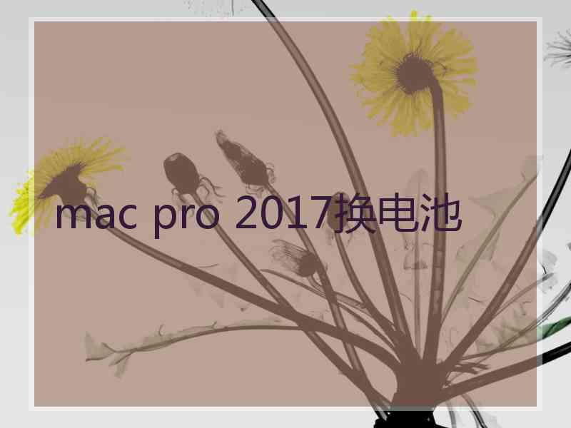 mac pro 2017换电池