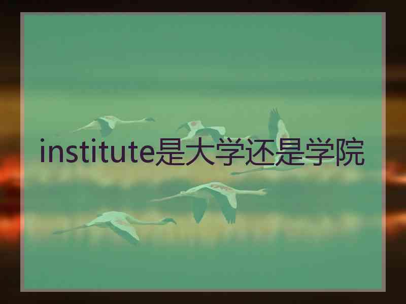 institute是大学还是学院