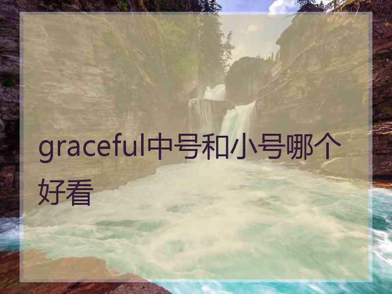 graceful中号和小号哪个好看