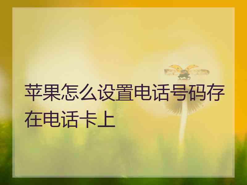 苹果怎么设置电话号码存在电话卡上