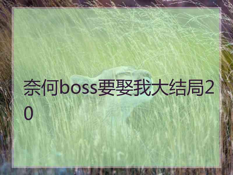 奈何boss要娶我大结局20