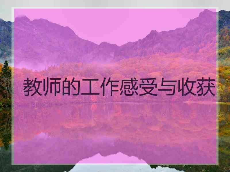 教师的工作感受与收获