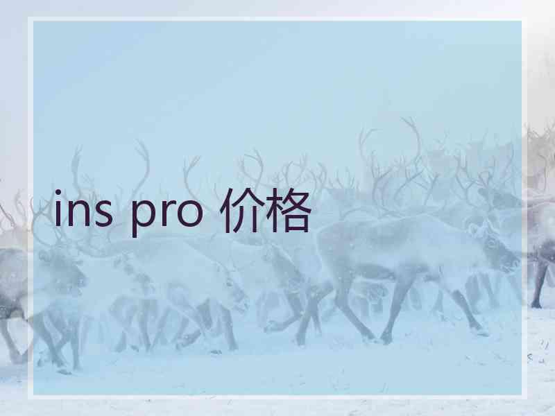 ins pro 价格