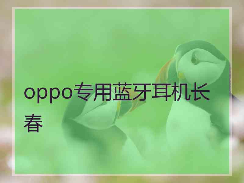 oppo专用蓝牙耳机长春