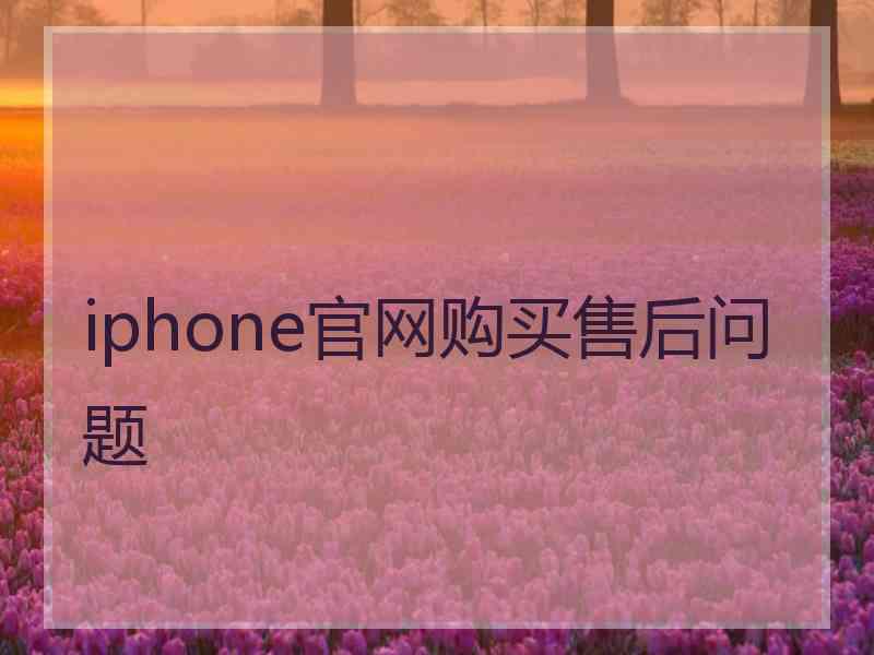 iphone官网购买售后问题