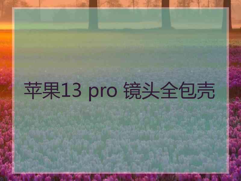 苹果13 pro 镜头全包壳