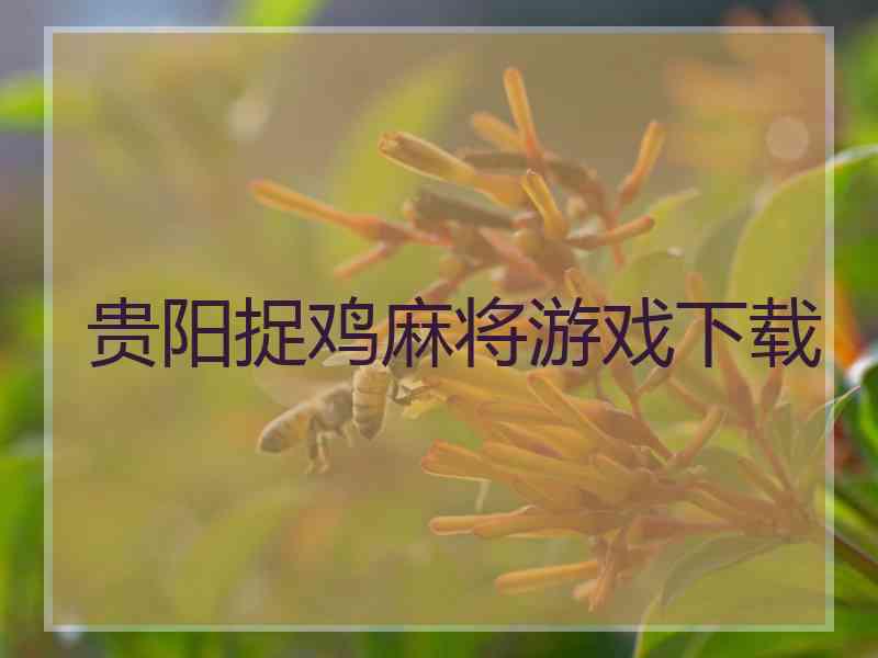 贵阳捉鸡麻将游戏下载