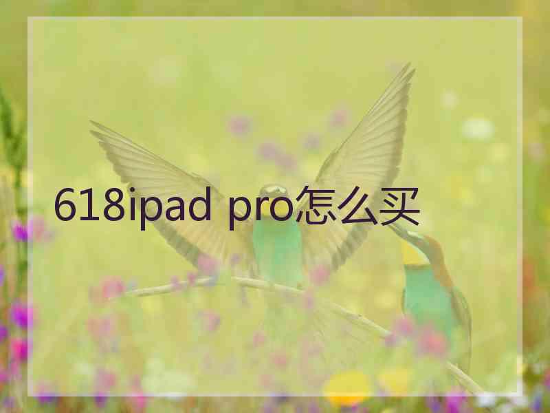 618ipad pro怎么买