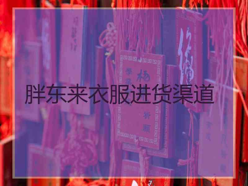 胖东来衣服进货渠道