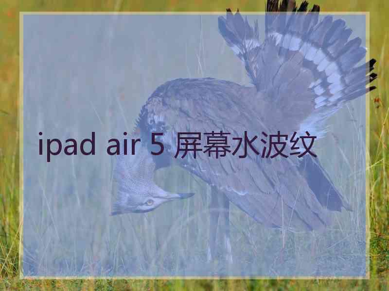 ipad air 5 屏幕水波纹