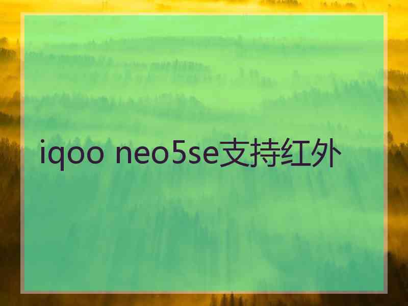 iqoo neo5se支持红外