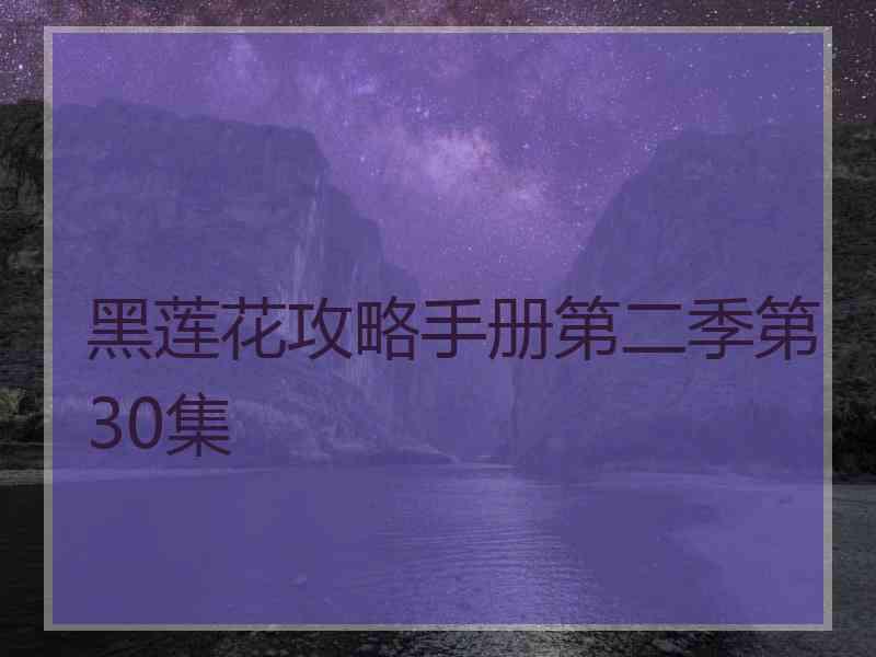 黑莲花攻略手册第二季第30集