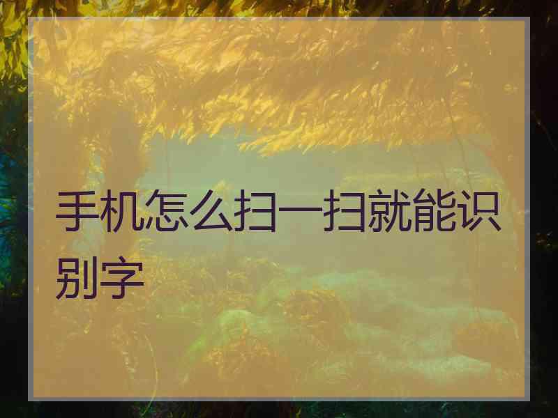 手机怎么扫一扫就能识别字