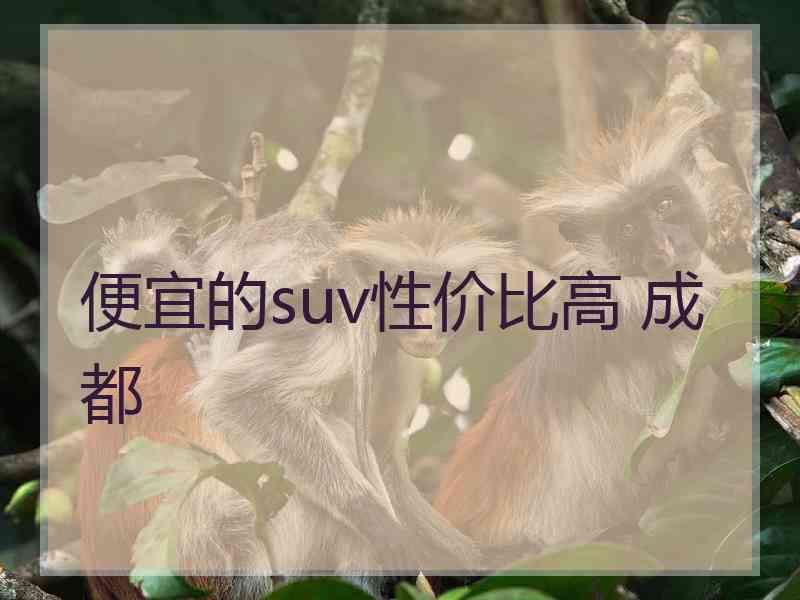 便宜的suv性价比高 成都