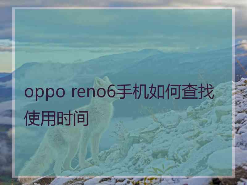 oppo reno6手机如何查找使用时间