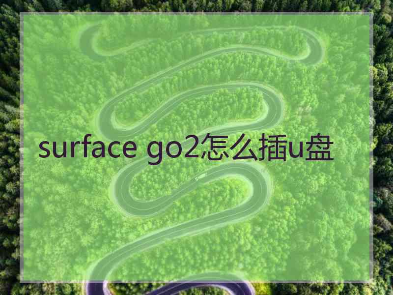 surface go2怎么插u盘