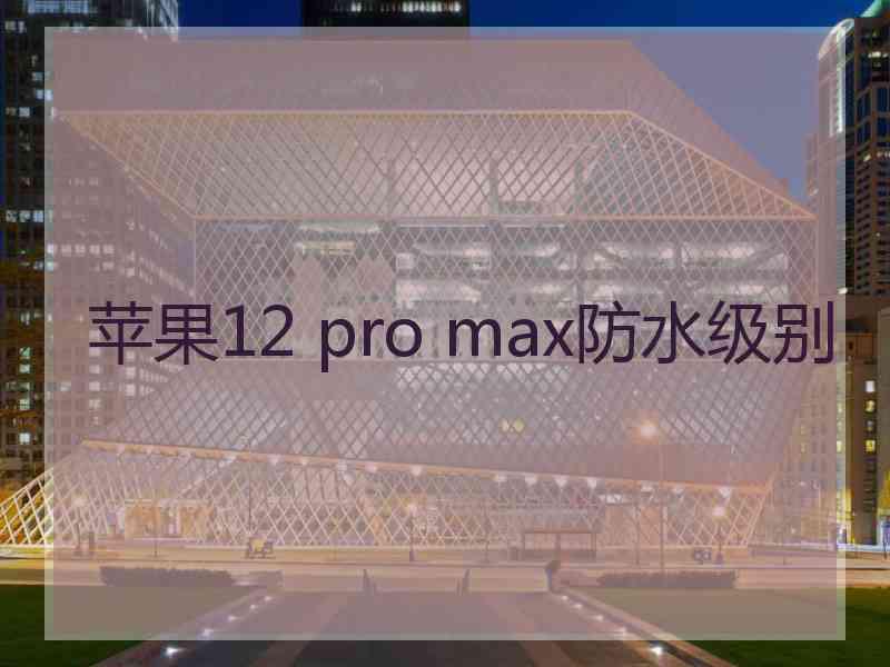 苹果12 pro max防水级别